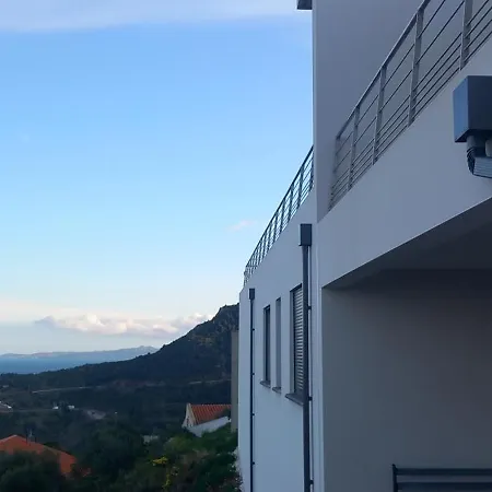 Le Cézanne Cerbère