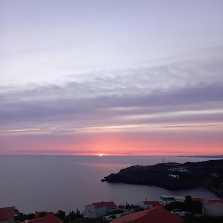 Le Cézanne Cerbère